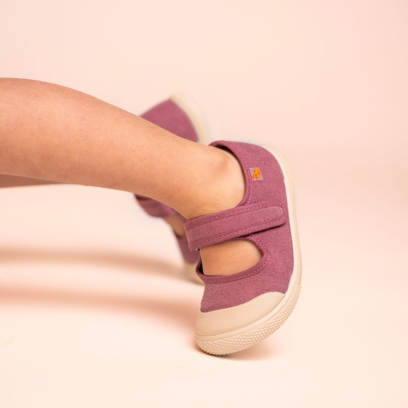 MERCEDITAS - PÚRPURA